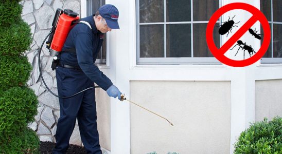 Mengen Akrep İlaçlama böcek ilaçlama ve haşere kontrolü — ilaclama-tr.com
